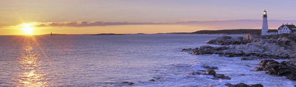 img-about-banner