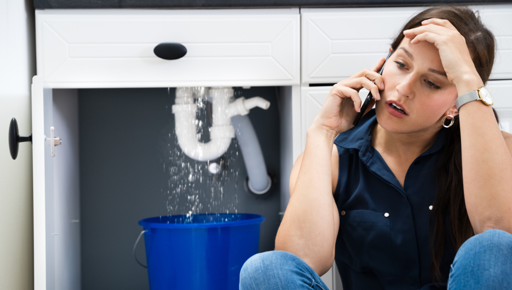Water shutoff systems can minimize damage from plumbing leaks.