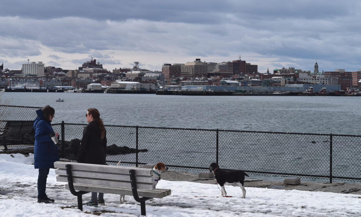 Moving to Portland Maine is a popular choice for people looking for a small, safe, outdoor foodie city.