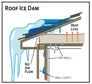 Anatomy of an Ice Dam
