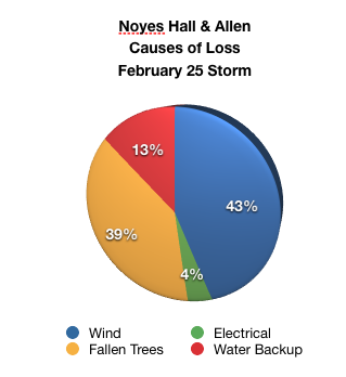 pie chart of claims reported to Noyes Hall & Allen Insurance