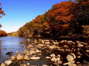 fall lake scene in Auburn, ME