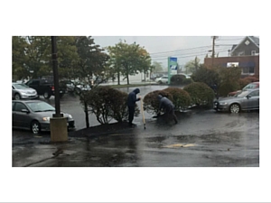 Flooded Parking Lot